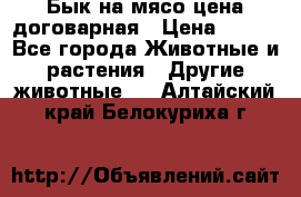 Бык на мясо цена договарная › Цена ­ 300 - Все города Животные и растения » Другие животные   . Алтайский край,Белокуриха г.
